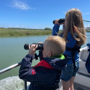 Look out for the seals and wildlife - Sandwich River Runner Trips